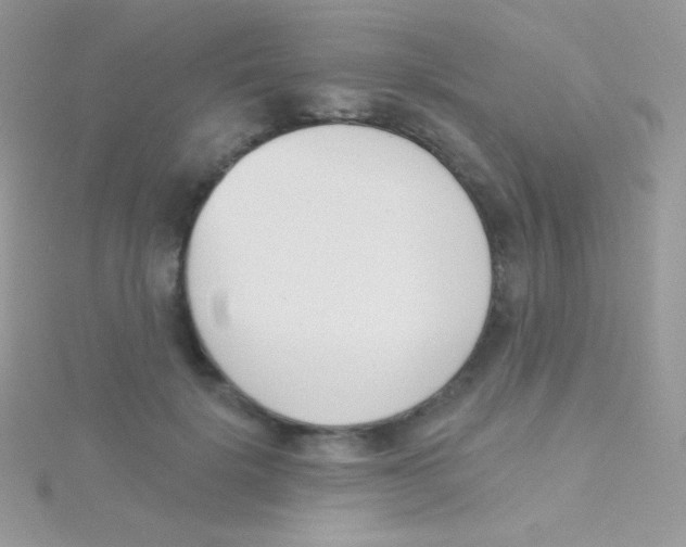 X0000115050652200911231155