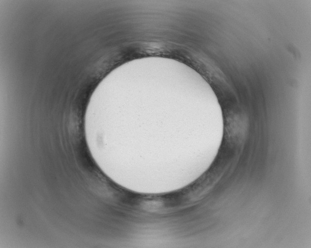 X0000115050653200911231155