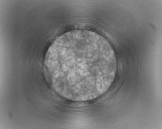 X0000115050661200911231155