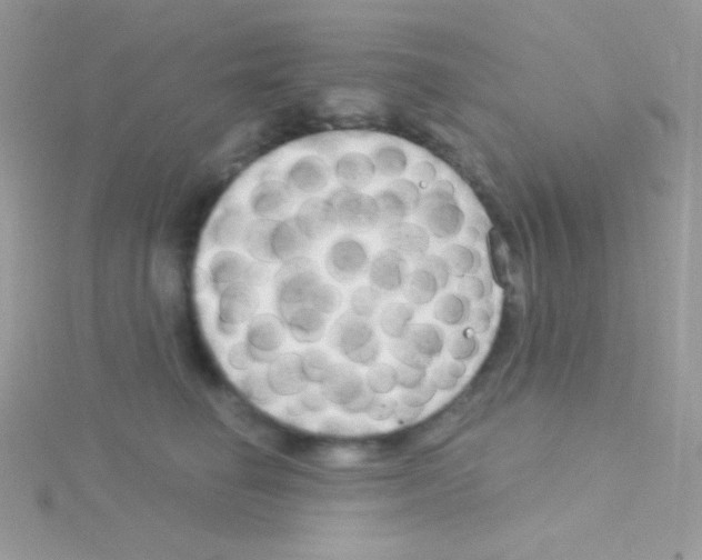 X0000115050662200911231155