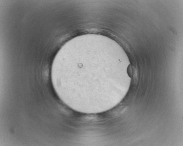 X0000115050668200911231155