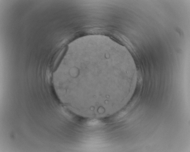 X0000115050669200911231155