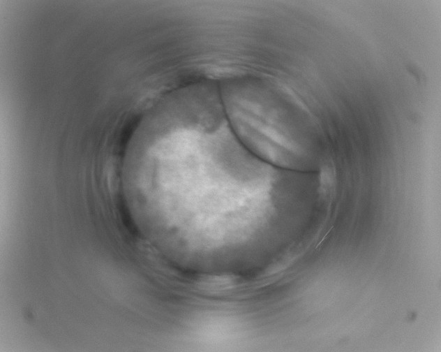 X0000115050671200911231155