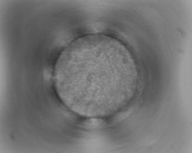 X0000115050672200911231155