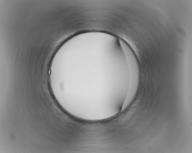 X0000115050673200911231154