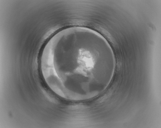 X0000115050674200911231154