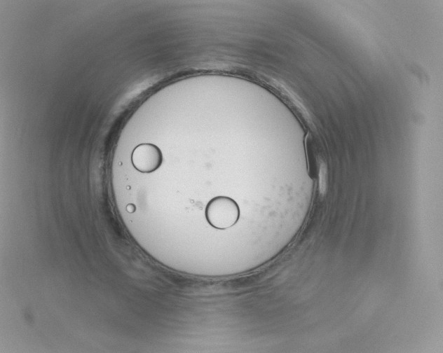 X0000115050675200911231154