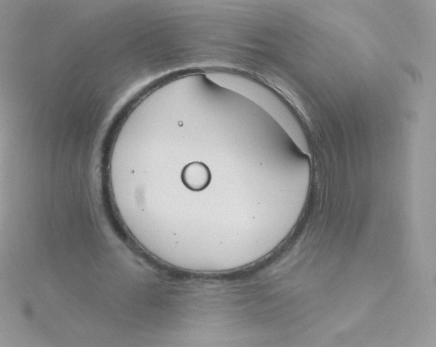 X0000115050676200911231154