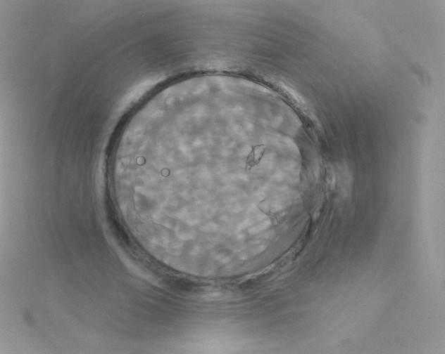 X0000115050678200911231154