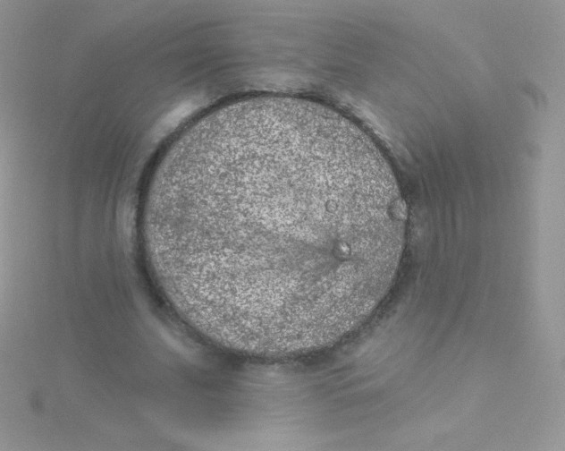 X0000115050679200911231154