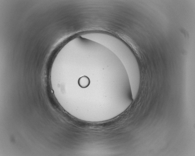 X0000115050680200911231154