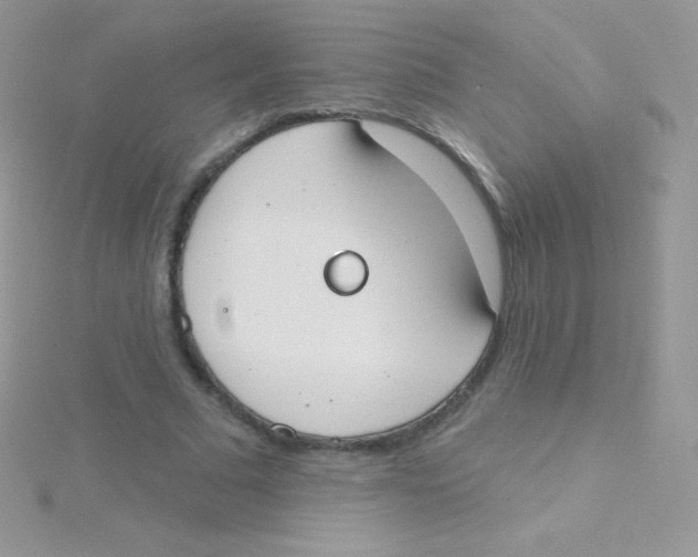 X0000115050681200911231154