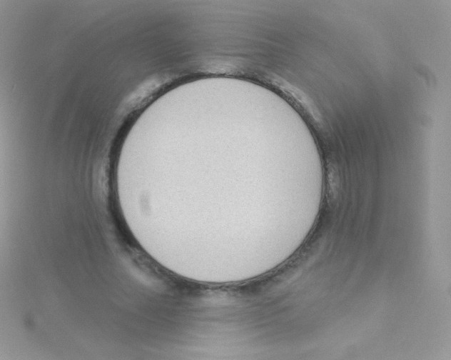 X0000115050682200911231154