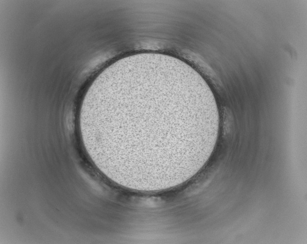 X0000115050683200911231154