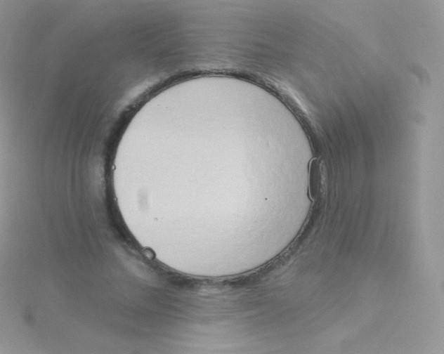 X0000115050684200911231154