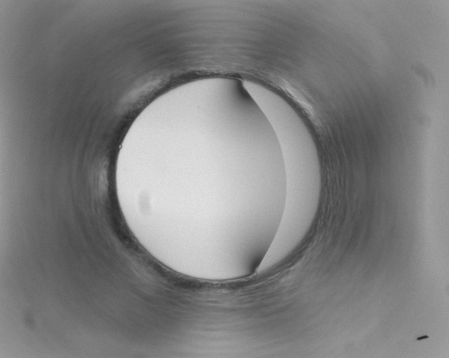 X0000115050685200911231154