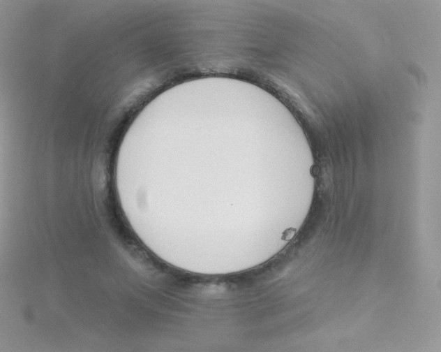 X0000115050687200911231154