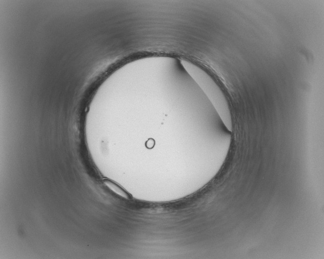 X0000115050688200911231154