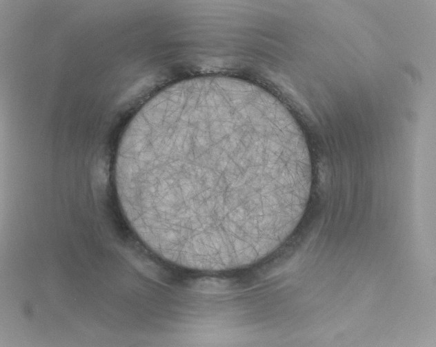 X0000115050691200911231154