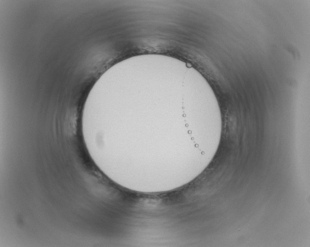 X0000115050694200911231154