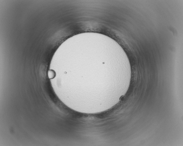 X0000115050695200911231154