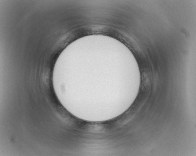 X0000115050698200911231154