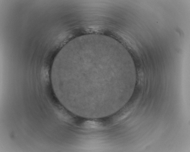 X0000115050699200911231154