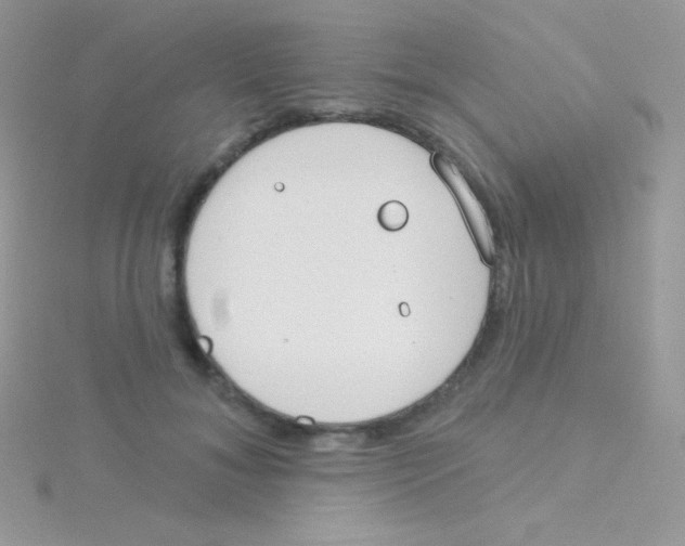 X0000115050700200911231154