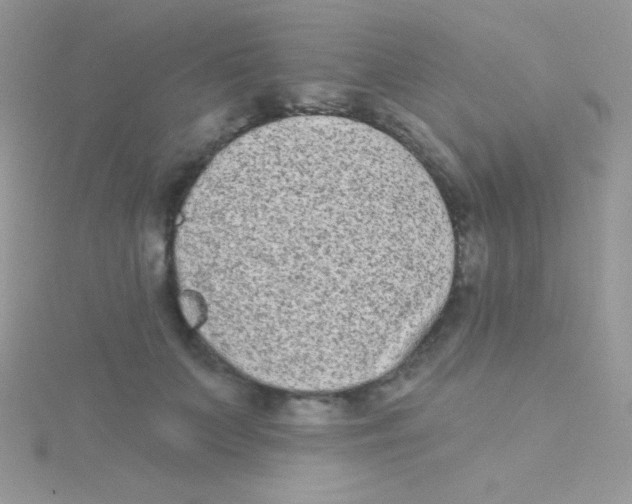 X0000115050703200911231154