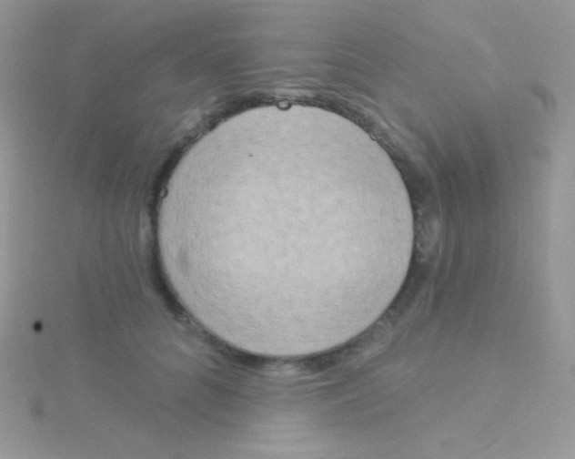 X0000115050704200911231154