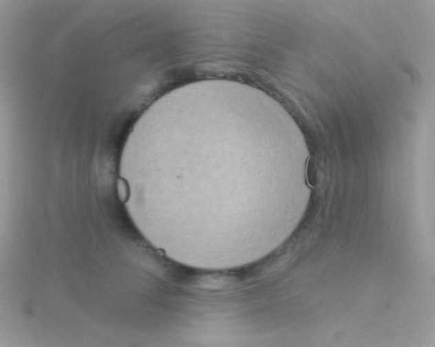 X0000115050708200911231154