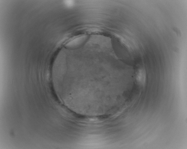 X0000115050715200911231154