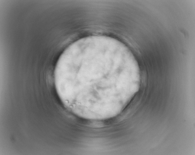 X0000115050719200911231154