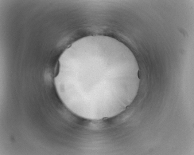 X0000115050720200911231154