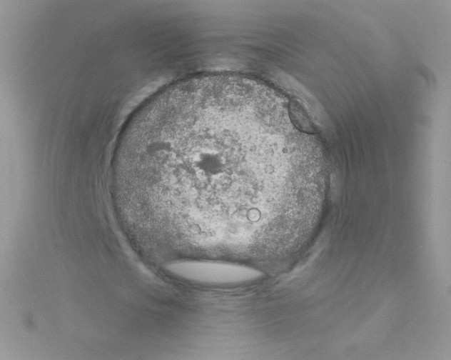 X0000115050721200911231153