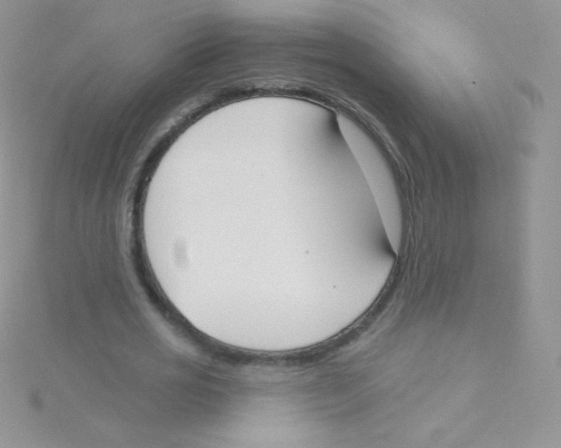 X0000115050725200911231153