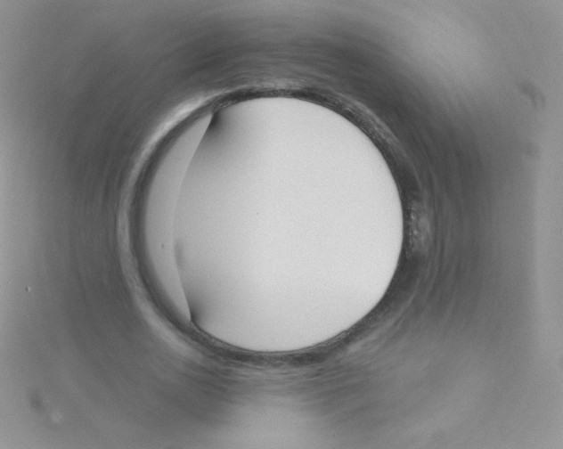 X0000115050726200911231153