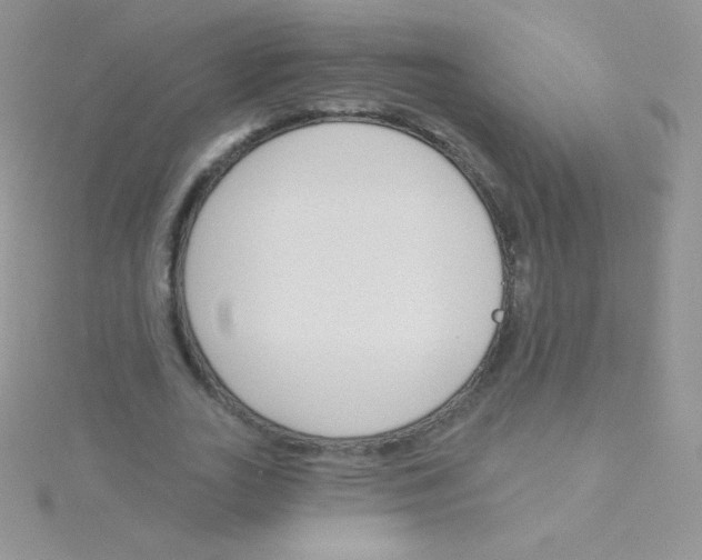 X0000115050727200911231153