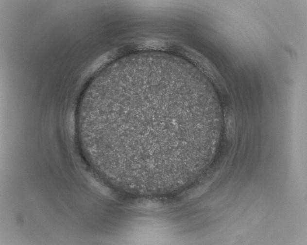 X0000115050729200911231153