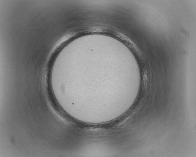 X0000115050730200911231153