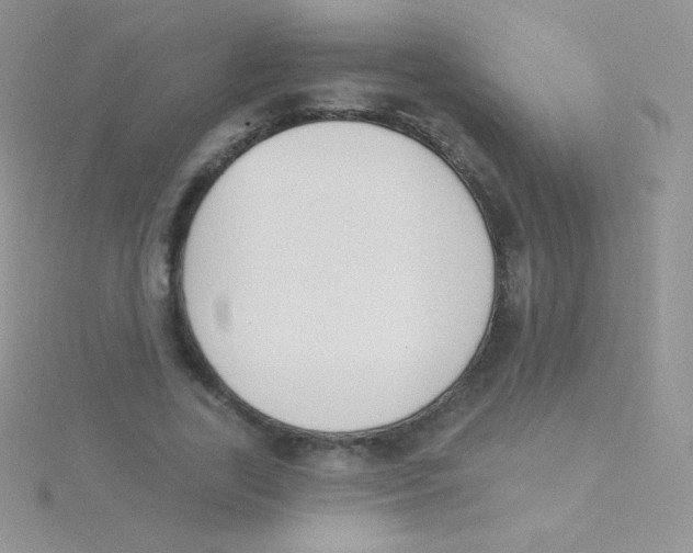 X0000115050731200911231153