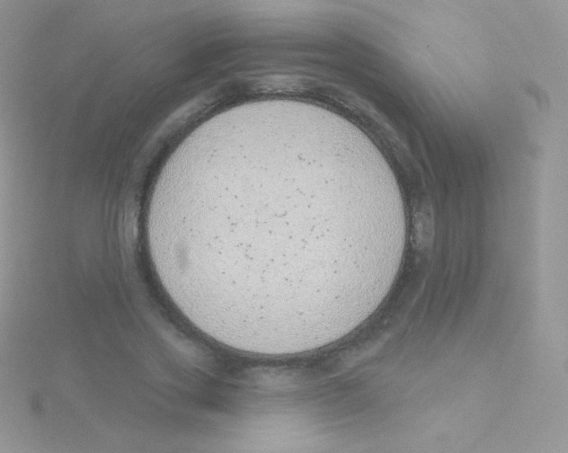 X0000115050733200911231153