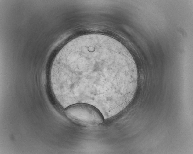 X0000115050734200911231153