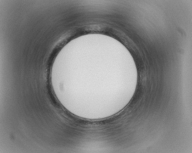 X0000115050735200911231153