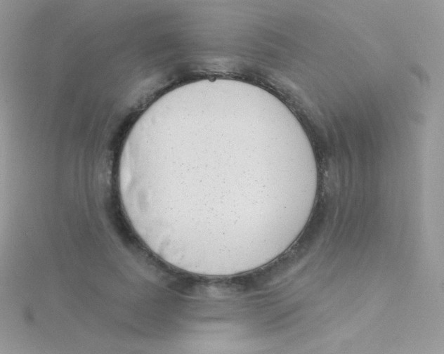 X0000115050739200911231153