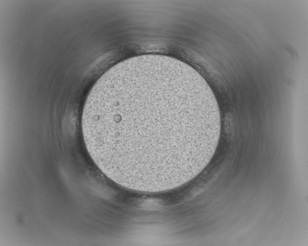 X0000115050741200911231153