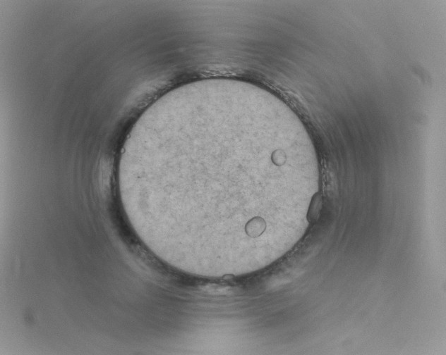 X0000115050742200911231153