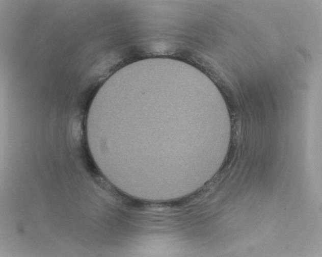 X0000115050746200911231153