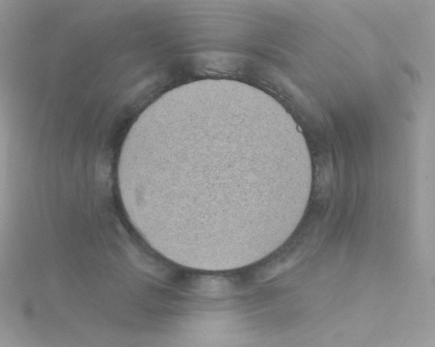 X0000115050749200911231153