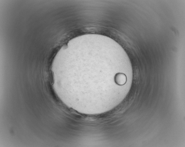 X0000115050751200911231153